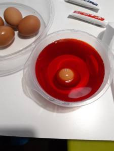 Laboratori Pasquali con la Catechesi Familiare