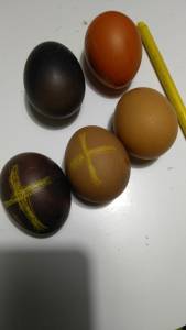 Laboratori Pasquali con la Catechesi Familiare