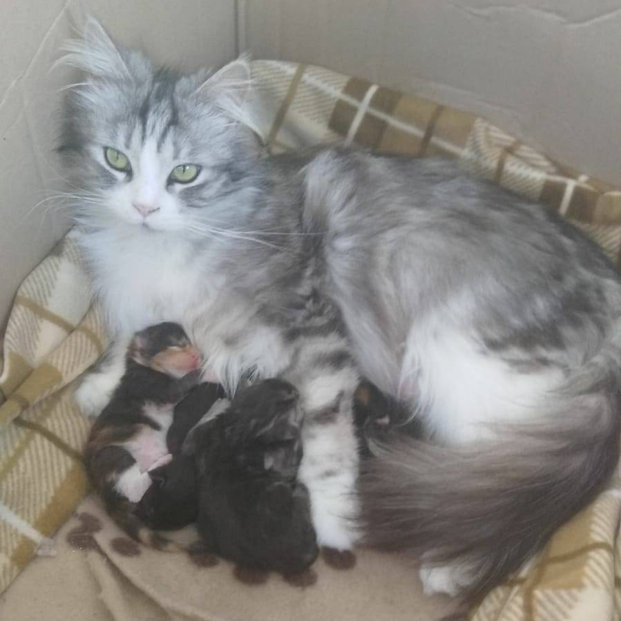 WhatsApp Image 2019-04-15 at 18.00.21